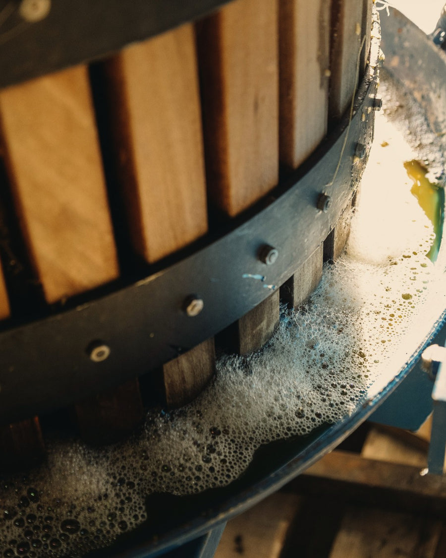 Juice foaming at the base of the wooden press