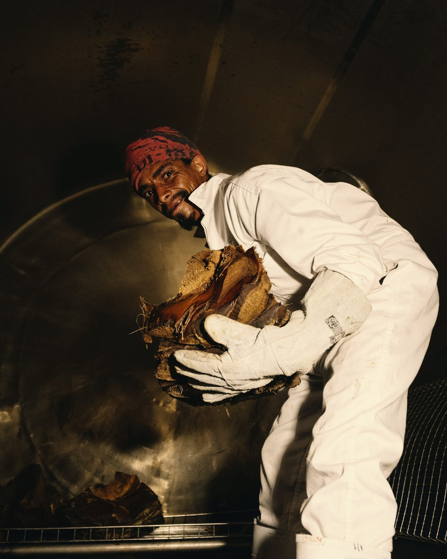 Lifting cooked agave from the steel tank